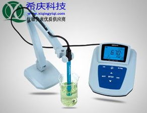 上海儀表廠MP511實(shí)驗(yàn)室pH計(jì) 精準(zhǔn)測量的可靠之選