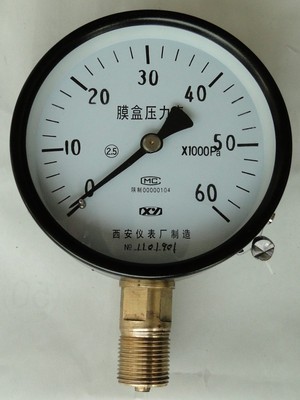 YE-100膜盒壓力表 精準(zhǔn)監(jiān)測與可靠測量的首選儀器